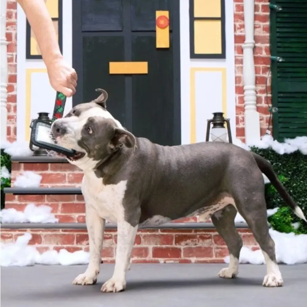 BARK Home Alone‎ Super Chewer Kevin’s TV Dog Toy No Fluff Tug Toss Squeaker
